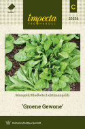 Mangold 'Groene Gewone'