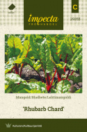 Mangold 'Rhubarb Chard'
