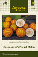 Mangomelon 'Queen Anne's Pocket Melon'