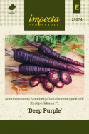 Sommergulerod F1 'Deep Purple'