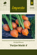 Sommergulerod 'Parijse Markt 4'