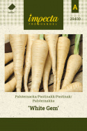 Pastinak 'White Gem'
