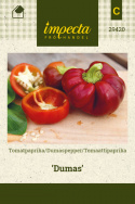 Tomatpaprika 'Dumas'