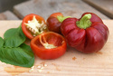 Tomatpaprika 'Dumas'