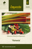 Rabarber 'Victoria'