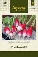 Radise 'Flamboyant 2'