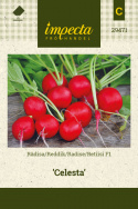 Radise F1 'Celesta'