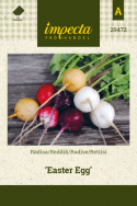 Radise 'Easter Egg'