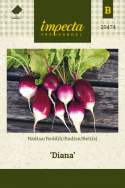 Radise 'Diana'