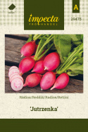 Radise 'Jutrzenka'