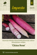 Kinesisk radise 'China Rose'