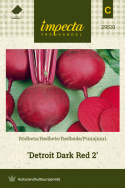 Rødbede 'Detroit Dark Red 2'