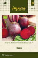 Rødbede F1 'Boro'