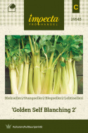 Blegselleri 'Golden Self Blanching 2'