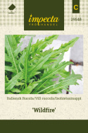 Italiensk Rucola 'Wildfire'