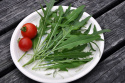 Italiensk Rucola 'Wildfire'