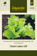 Icebergsalat 'Great Lakes 118'
