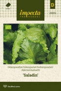 Icebergsalat 'Saladin'