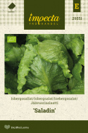 Icebergsalat 'Saladin'