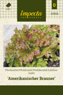 Plukkesalat 'Amerikanischer Brauner'