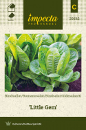 Bindsalat 'Little Gem'