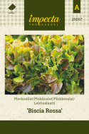 Pluksalat 'Biscia Rossa'