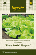 Plukkesalat 'Black Seeded Simpson'