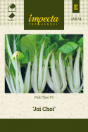 Pak Choi F1 'Joi Choi'