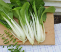 Pak Choi F1 'Joi Choi'