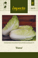 Salatkål F1 'Forco'