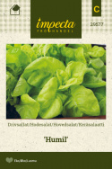 Salat 'Humil'