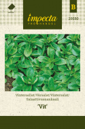 Vintersalat 'Vit'