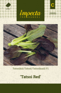 Tatsoikål F1 'Tatsoi Red'