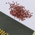 Smultron 'Regina'