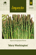 Asparges 'Mary Washington'