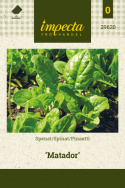 Spinat 'Matador'