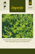 New Zealandsk spinat