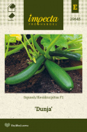 Squash F1 'Dunja'
