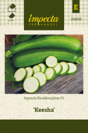 Squash F1 'Keesha'
