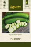 Squash F1 'Keesha'