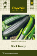 Squash 'Black Beauty'