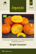 Giant Pumpkin F1 'Bright Summer'