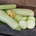 Squash 'Lungo bianco di Sicilia'