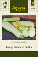 Squash 'Lungo bianco di Sicilia'