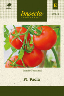 Tomat F1 'Paola'