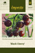 Cherrytomat 'Black Cherry'