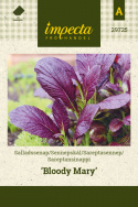 Sareptasennep 'Bloody Mary'