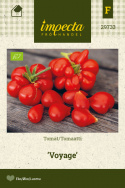 Tomat 'Voyage'