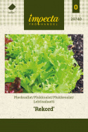 Plukkesalat 'Record'