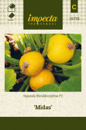 Squash F1 'Midas'